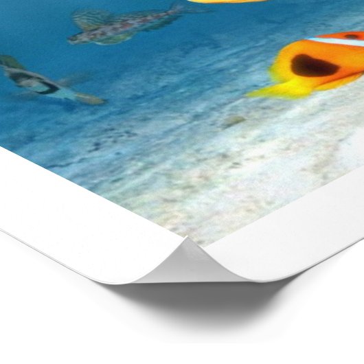 魚海 ポスター (角)