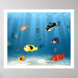 魚海 ポスター