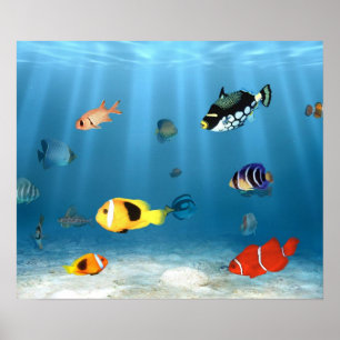 魚海 ポスター