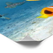 魚海 ポスター (角)