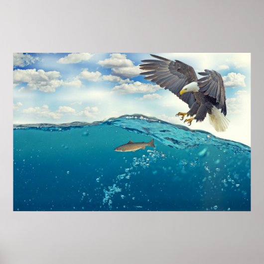 魚素晴らしを襲うオウワシ ポスター (正面)