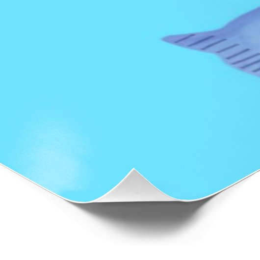 魚絵画類 ポスター (コーナー)