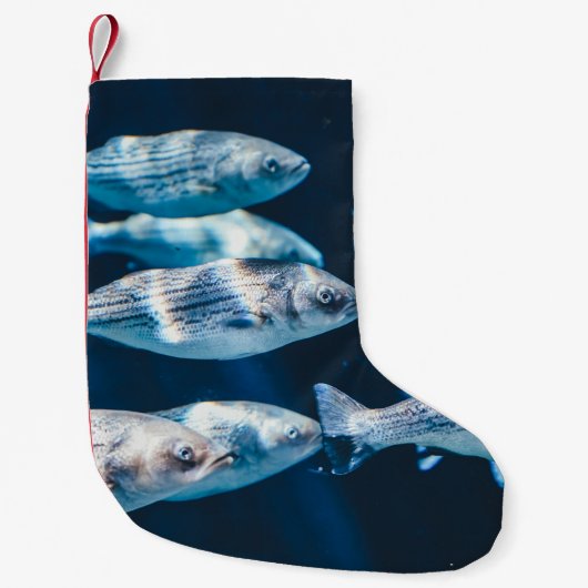魚群 スモールクリスマスストッキング (正面)