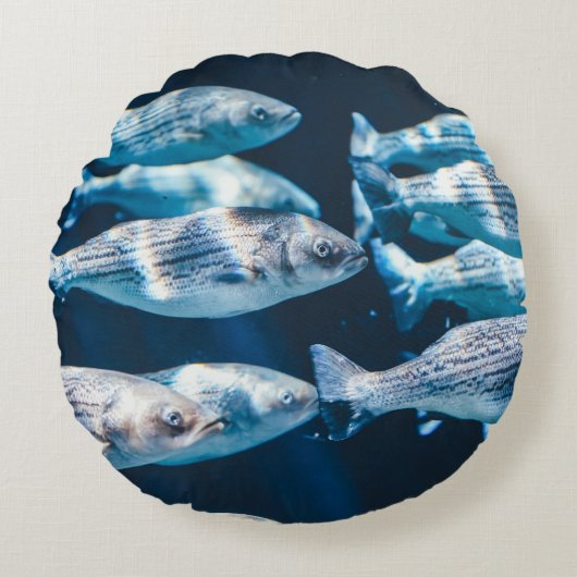 魚群 ラウンドクッション (正面)