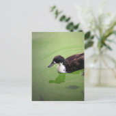 魚釣りとアヒル ポストカード (スタンド正面)