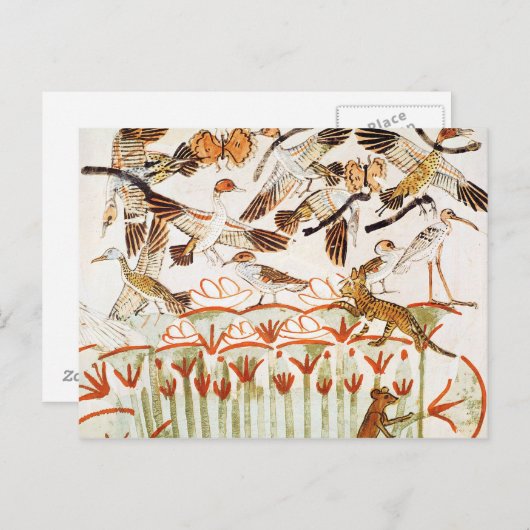 魚釣りと沼地の鳥 ポストカード (正面/裏面)