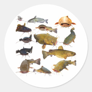 魚釣りのナマズ ラウンドシール