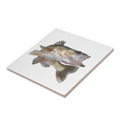 魚釣りのWalleye タイル (側面)