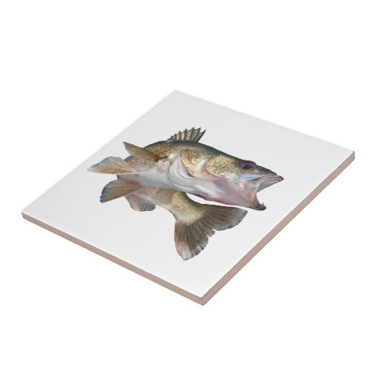 魚釣りのWalleye タイル (側面)