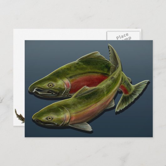 魚釣りはがきカスタムさけ魚絵はがき ポストカード (正面/裏面)