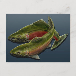 魚釣りはがきカスタムさけ魚絵はがき ポストカード