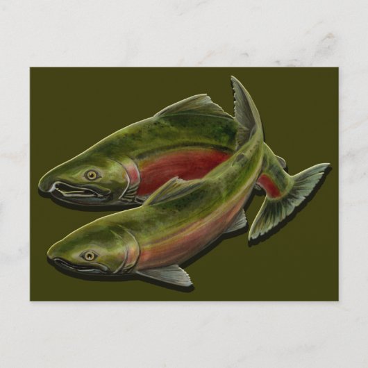 魚釣りはがきカスタムBCワイルドライフポストカード ポストカード (正面)