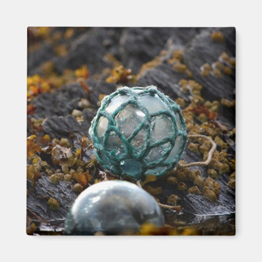 魚釣りは潮流プールに浮かぶ、アラスカ マグネット (正面)