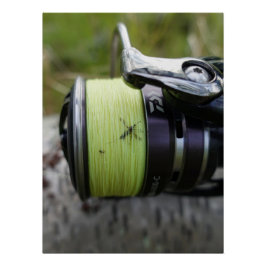 魚釣りカルマポスター ポスター