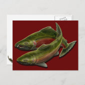 魚釣りクマはがききカスタムサーモン魚はがき ポストカード (正面/裏面)