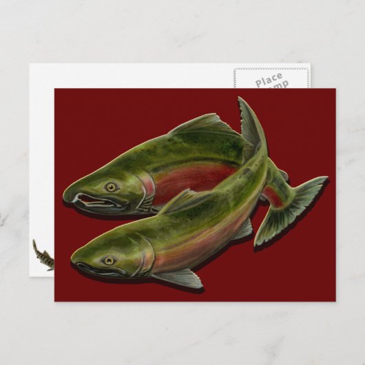 魚釣りクマはがききカスタムサーモン魚はがき ポストカード (正面/裏面)