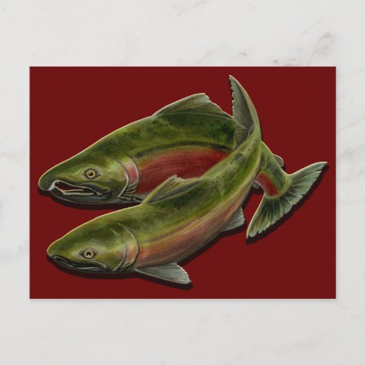 魚釣りクマはがききカスタムサーモン魚はがき ポストカード (正面)