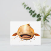 魚釣りスマイル ポストカード (スタンド正面)