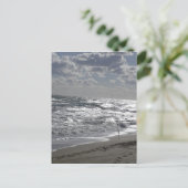 魚釣りビーチと夢 ポストカード (スタンド正面)