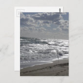 魚釣りビーチと夢 ポストカード (正面/裏面)