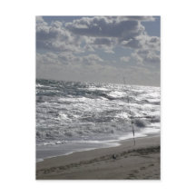 魚釣りビーチと夢