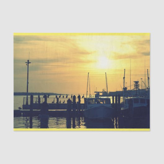 魚釣りピアティッシュペーパー 薄葉紙 (正面)