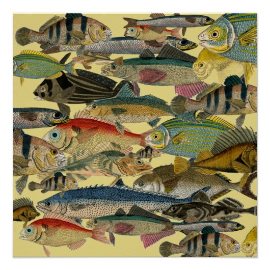 魚釣りフィッシャーマン深いシー魚釣りエキゾチック ポスター (正面)