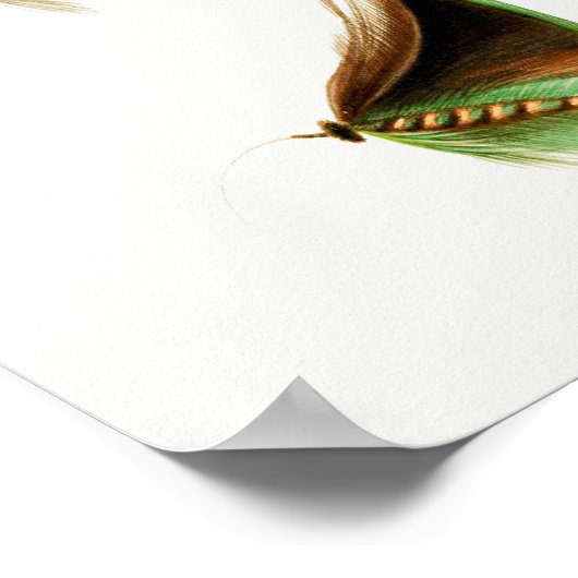 魚釣りフライ#2 ポスター (角)