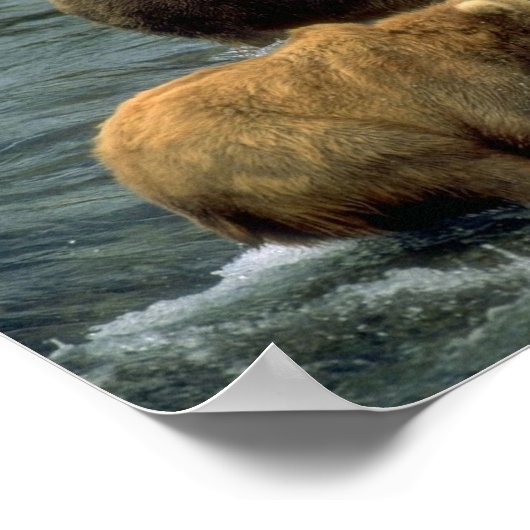 魚釣りベア1 ポスター (角)