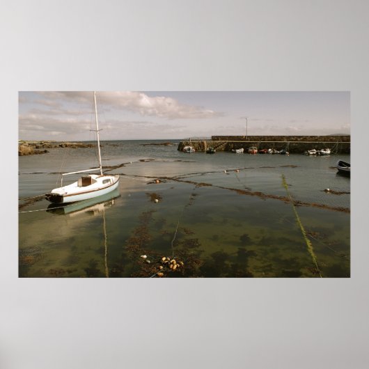 魚釣りボーツスピダルアイルランド ポスター (正面)