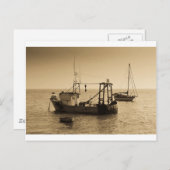 魚釣りボーツレイオンシー ポストカード (正面/裏面)