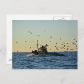 魚釣りボートとカモメの群れ ポストカード (正面/裏面)