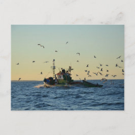 魚釣りボートとカモメの群れ ポストカード