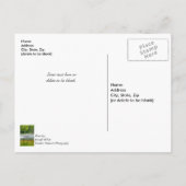 魚釣りボートの移動空白のポストカード ポストカード (裏面)