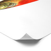 魚釣りポスター – カナダレッドマス男魚 ポスター (角)