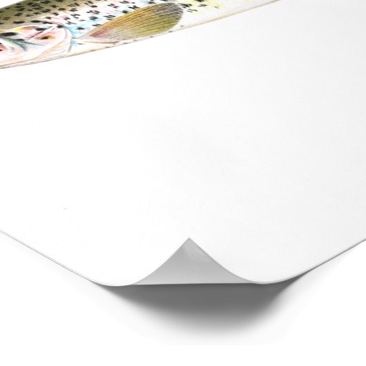 魚釣りポスター – サケのマス魚 ポスター (角)