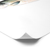 魚釣りポスター – 大西洋産サーモンフィッシュ ポスター (角)