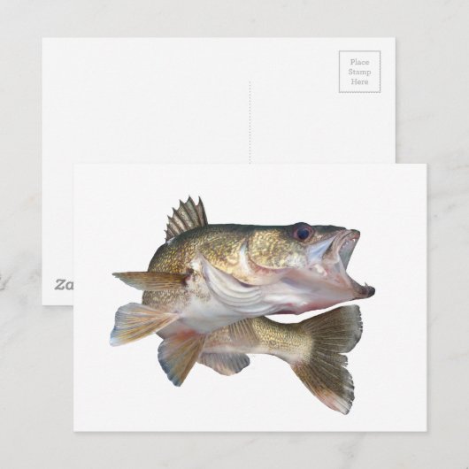 魚釣りワレー ポストカード (正面/裏面)