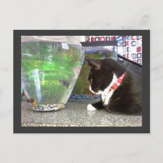 「魚釣り猫はがき」 ポストカード