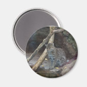 魚釣り猫マグネット マグネット (正面/裏面)