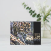 魚釣り猫[葉書] ポストカード (スタンド正面)