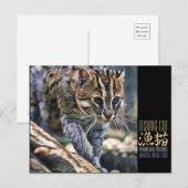 魚釣り猫[葉書] ポストカード (正面/裏面)