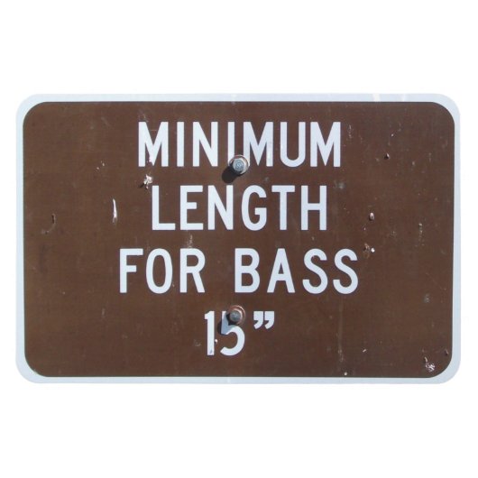 魚釣り符号、最小ベース長 マグネット (横)