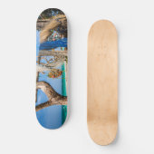 魚釣り網がビーチ上で乾燥 スケートボード (正面)