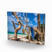 魚釣り網がビーチ上で乾燥