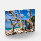 魚釣り網がビーチ上で乾燥 フォトブロック (左)