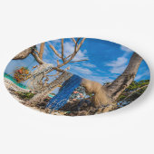 魚釣り網がビーチ上で乾燥 ペーパープレート (アングル)