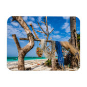 魚釣り網がビーチ上で乾燥 マグネット (横)