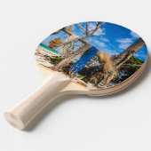 魚釣り網がビーチ上で乾燥 卓球ラケット (正面アングル)