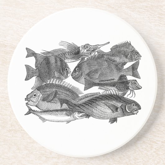 魚釣り・フォー・ラック・コースター コースター (正面)